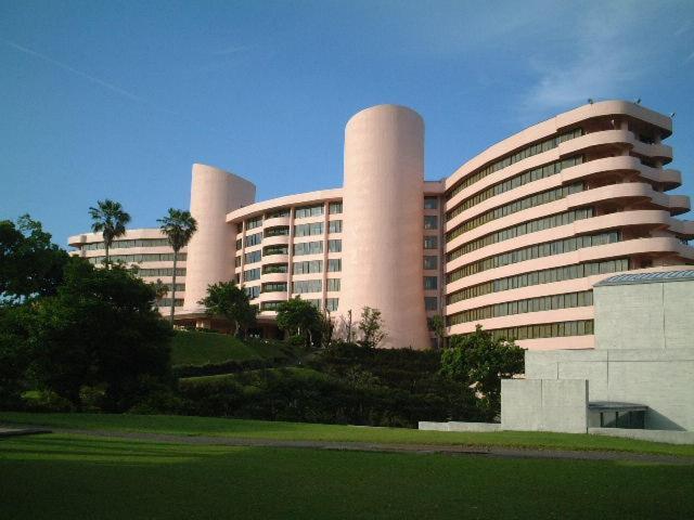 Ibusuki Iwasaki Hotel Extérieur photo