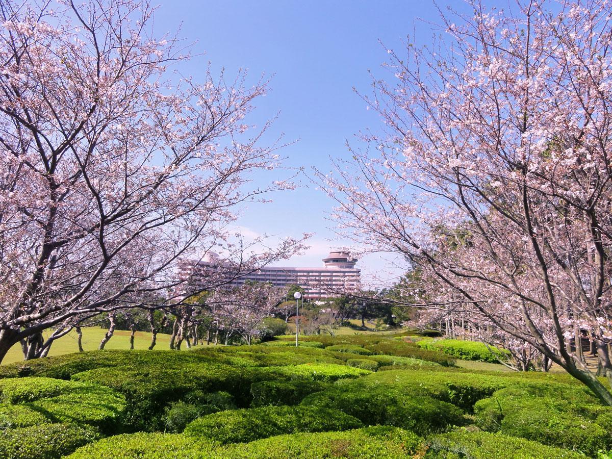 Ibusuki Iwasaki Hotel Extérieur photo